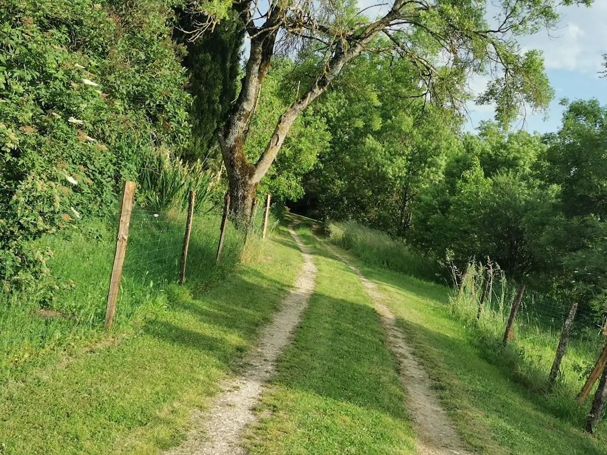Le Puech Des Amandiers Villeneuve-sur-Vere Casa de Férias